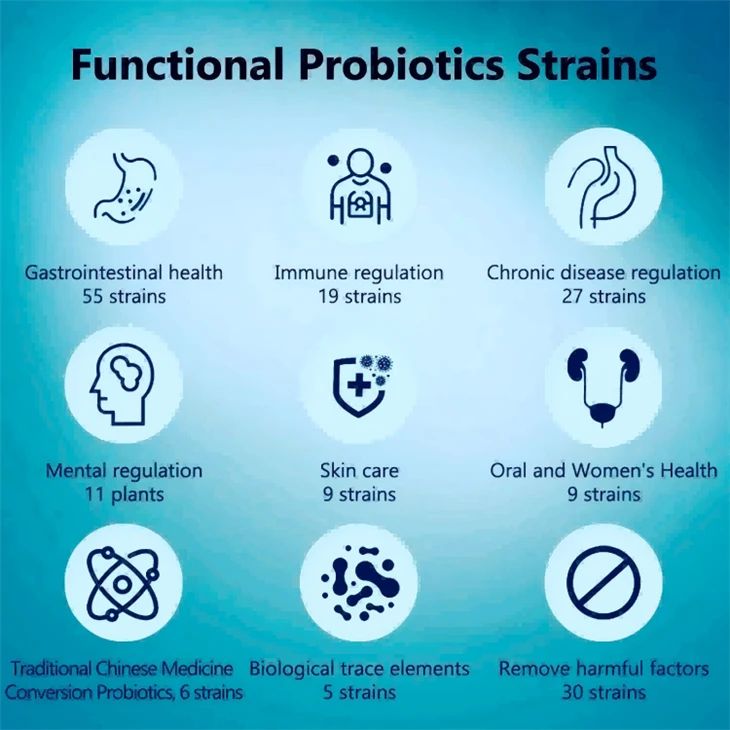 Lactobacillus Fermentum