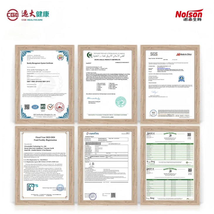 Lactobacillus Paracasei